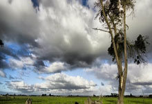 奥地利队逆袭之旅：欧洲杯四分之一决赛的辉煌篇章