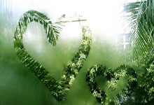 奥地利队逆袭之旅：欧洲杯四分之一决赛的辉煌篇章