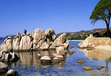 考辛斯肩伤无缘跟随湖人队打进决赛：一段令人难忘的诗篇